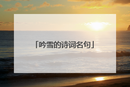 吟雪的诗词名句