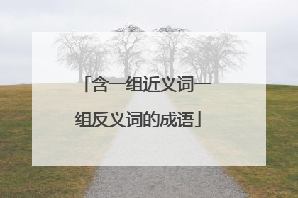 含一组近义词一组反义词的成语