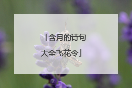 含月的诗句大全飞花令