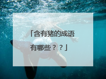 含有猪的成语有哪些??