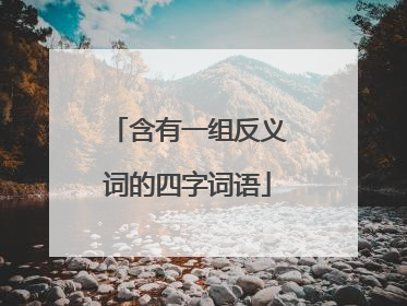 含有一组反义词的四字词语