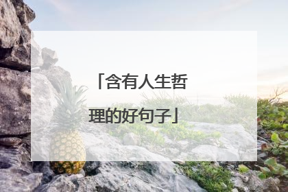 含有人生哲理的好句子