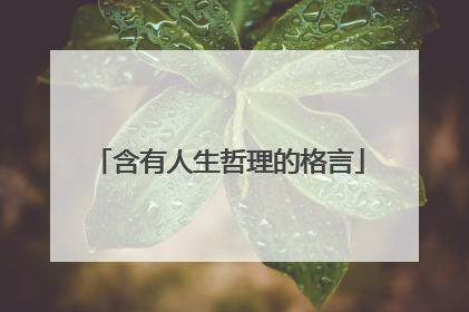 含有人生哲理的格言