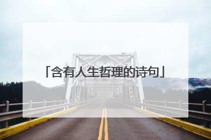 含有人生哲理的诗句
