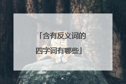 含有反义词的四字词有哪些