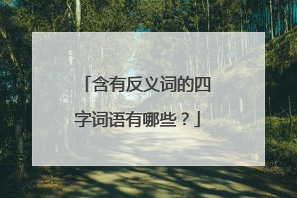 含有反义词的四字词语有哪些？