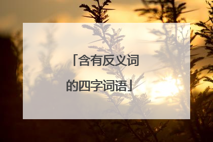 含有反义词的四字词语