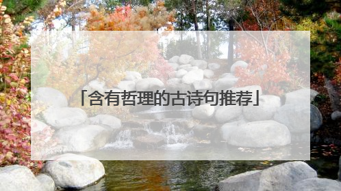 含有哲理的古诗句推荐