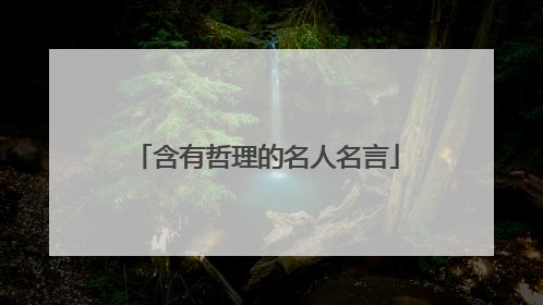 含有哲理的名人名言