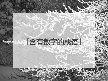 含有数字的成语