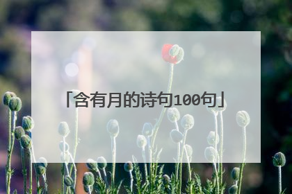 含有月的诗句100句