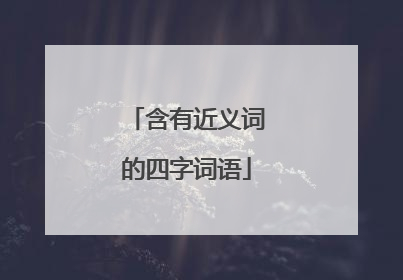 含有近义词的四字词语