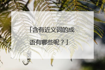 含有近义词的成语有哪些呢？