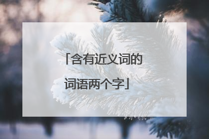 含有近义词的词语两个字