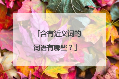 含有近义词的词语有哪些？