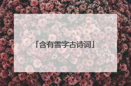 含有雪字古诗词