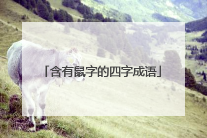 含有鼠字的四字成语
