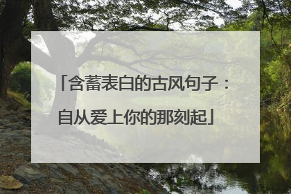 含蓄表白的古风句子:自从爱上你的那刻起
