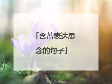 含蓄表达思念的句子