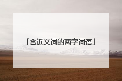 含近义词的两字词语