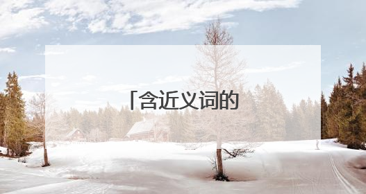 含近义词的四字词语