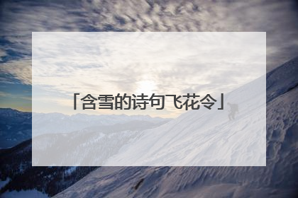 含雪的诗句飞花令