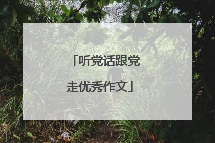 听党话跟党走优秀作文