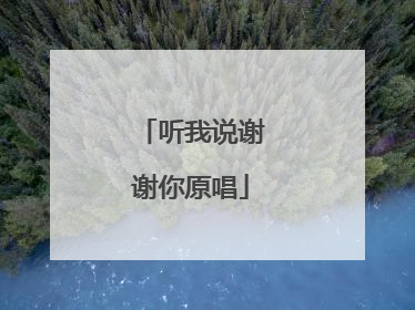 听我说谢谢你原唱