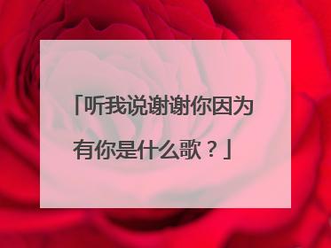 听我说谢谢你因为有你是什么歌?