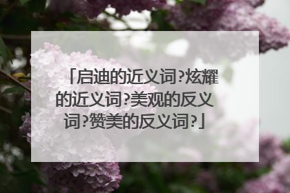 启迪的近义词?炫耀的近义词?美观的反义词?赞美的反义词?