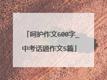 呵护作文600字_中考话题作文5篇