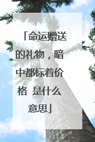 命运赠送的礼物,暗中都标着价格 是什么意思