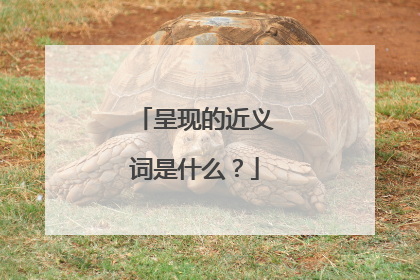 呈现的近义词是什么?