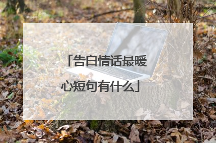告白情话最暖心短句有什么