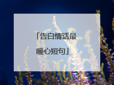 告白情话最暖心短句