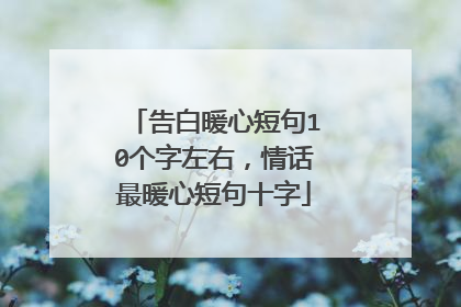 告白暖心短句10个字左右,情话最暖心短句十字
