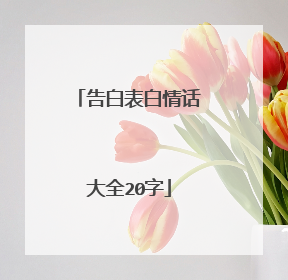 告白表白情话大全20字