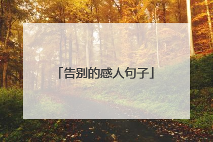 告别的感人句子