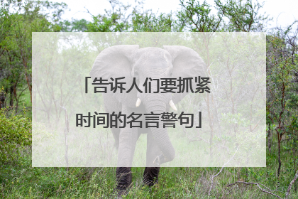 告诉人们要抓紧时间的名言警句