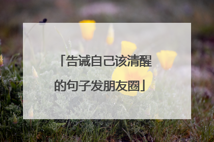 告诫自己该清醒的句子发朋友圈