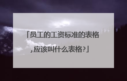 员工的工资标准的表格,应该叫什么表格?