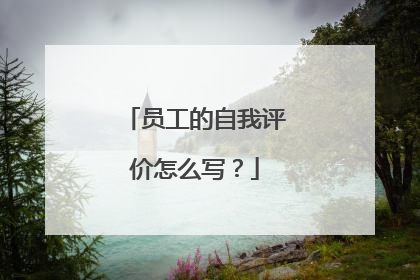 员工的自我评价怎么写？