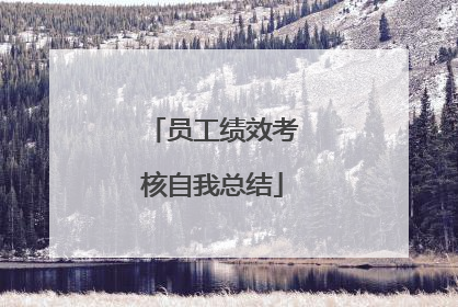 员工绩效考核自我总结