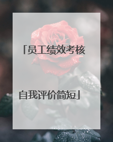 员工绩效考核自我评价简短