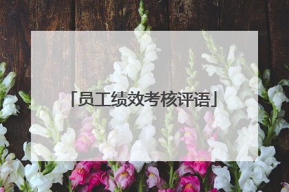 员工绩效考核评语