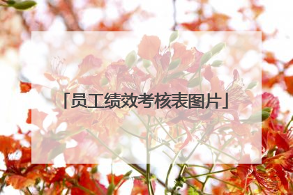 员工绩效考核表图片