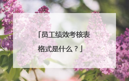 员工绩效考核表格式是什么?