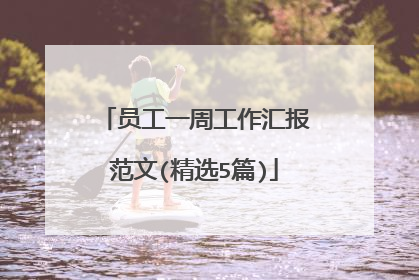 员工一周工作汇报范文(精选5篇)