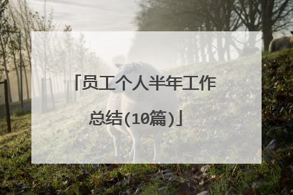 员工个人半年工作总结(10篇)