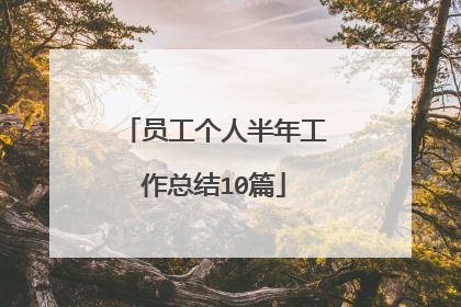 员工个人半年工作总结10篇